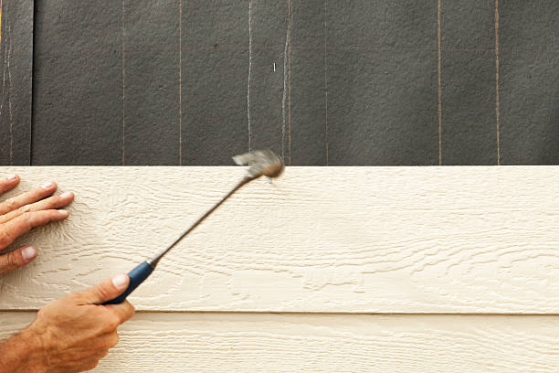 Best Siding Repair  in USA